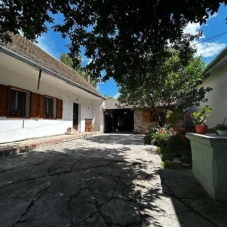 Oaza Mira Porodicna Kuca Za Opustanje Villa Apatin Kültér fotó