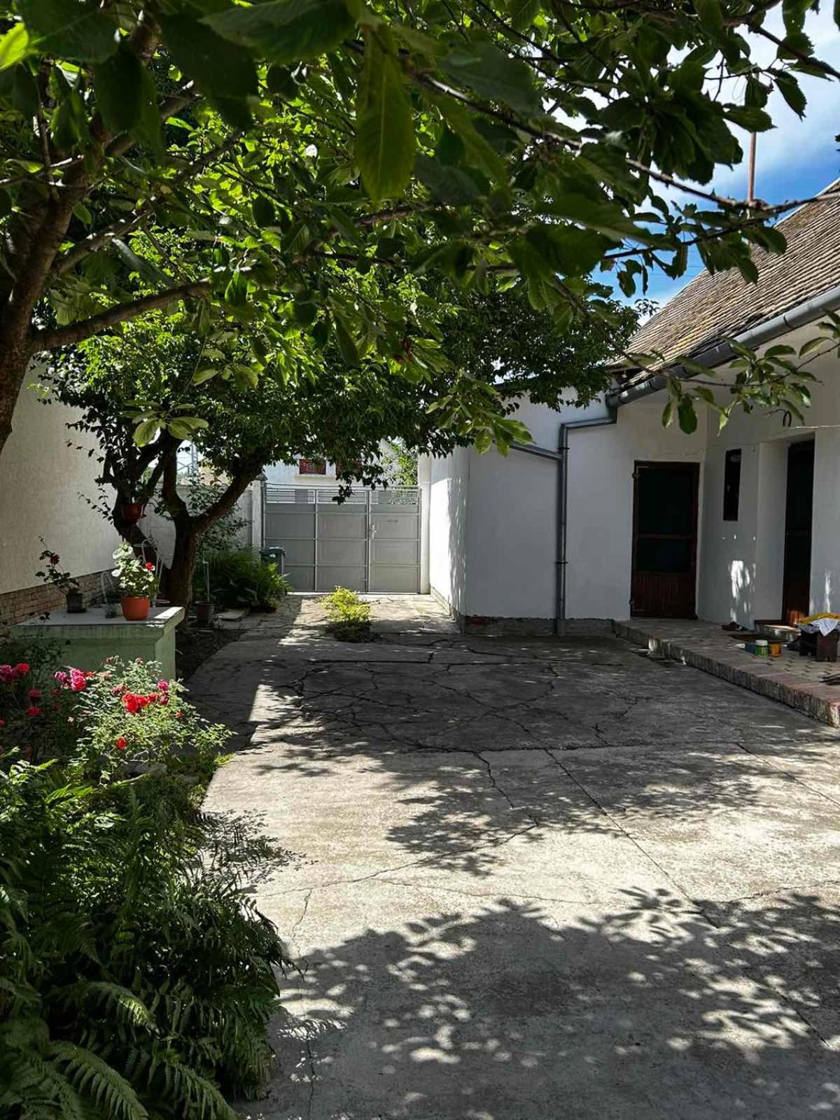 Oaza Mira Porodicna Kuca Za Opustanje Villa Apatin Kültér fotó